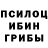 Галлюциногенные грибы GOLDEN TEACHER Simka 1112_09