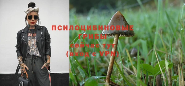 мяу мяу мука Белоозёрский